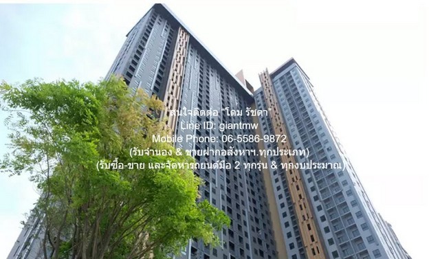 302342pic1