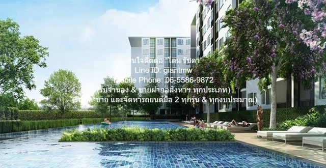 302343pic1