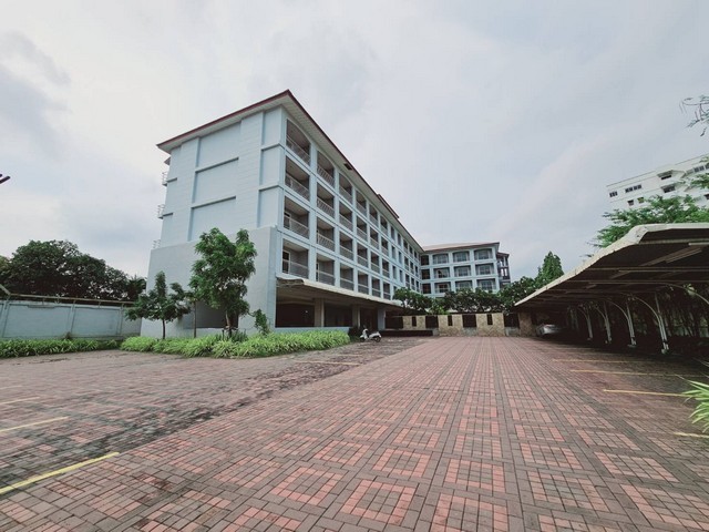 302550pic1