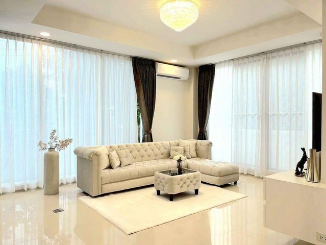 499958pic1