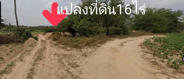 500817pic1