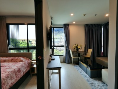 500948pic1