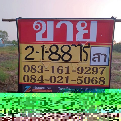 501279pic1