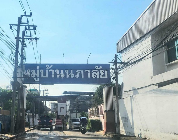 303326pic1