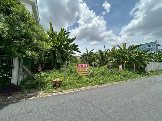 501512pic1