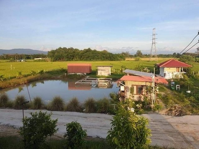 u129-226350pic1