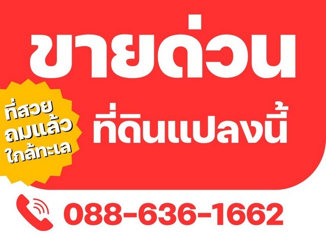 u174-291634pic1