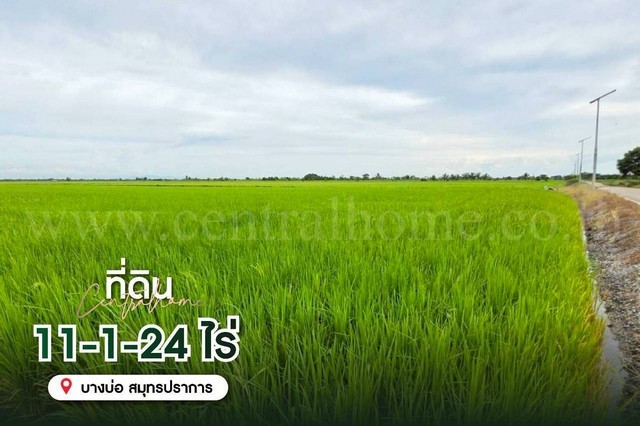 u258-226276pic1
