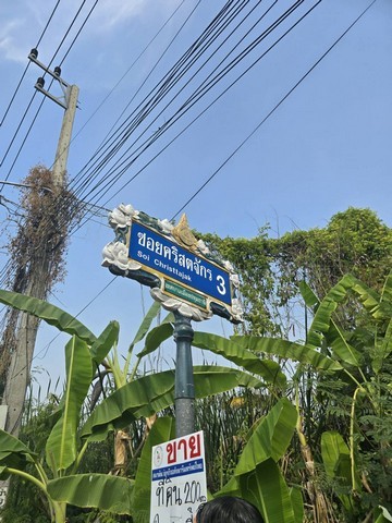 u317-285006pic1