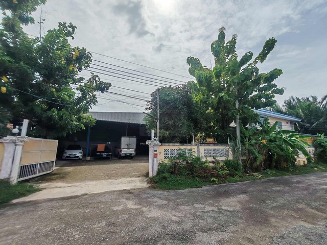 u347-501427pic1