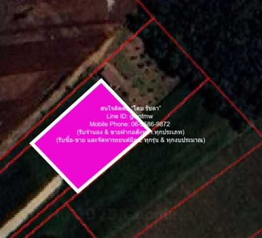 u421-296862pic1