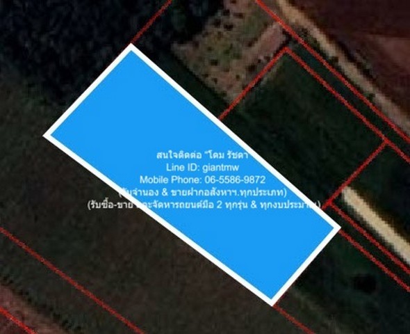 u421-296863pic1-2