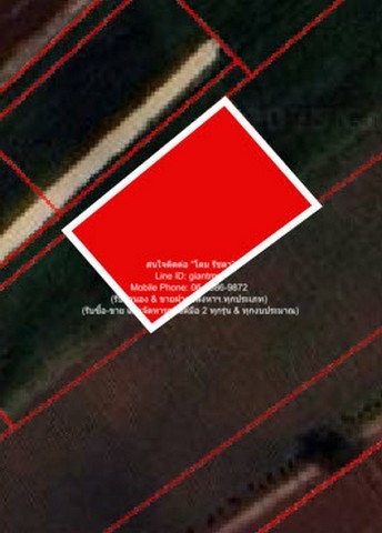 u421-296864pic1-16