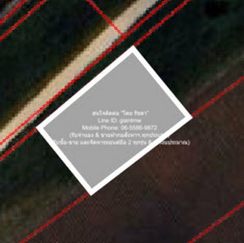 u421-296865pic1