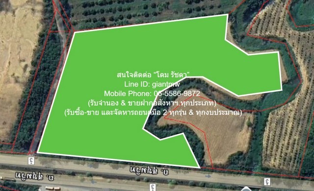 u421-297082pic1