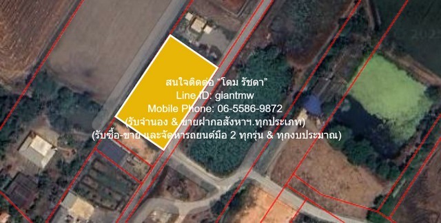 u421-297267pic1