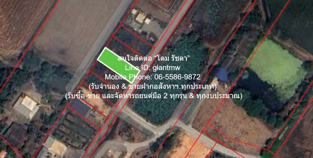 u421-297271pic1