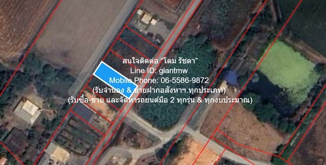 u421-297273pic1