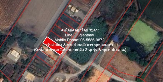 u421-297274pic1