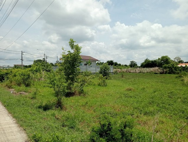 u433-304352pic1
