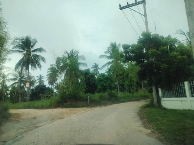 u679-303837pic1