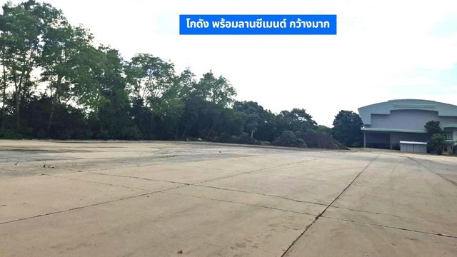 u79-481068pic1