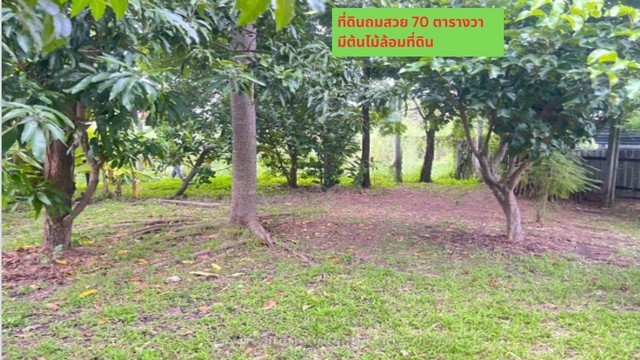 u79-502091pic1
