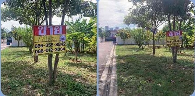 u84-501527pic1