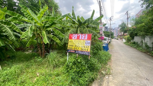 u84-501939pic1