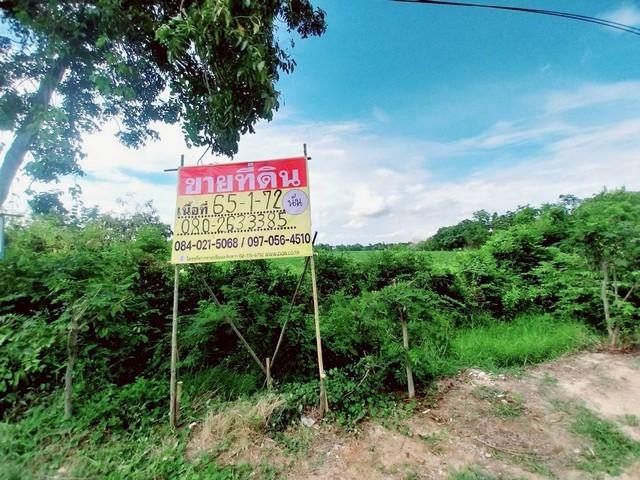 u84-502051pic1