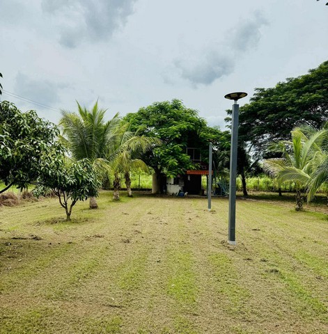 u90-226084pic1